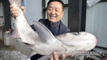 黑龍江連環(huán)湖天然野生魚喜獲豐收